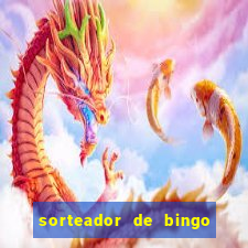 sorteador de bingo 90 bolas online